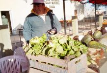 Malanzán: Se realizó Feria de artesanos y productores en El Portezuelo