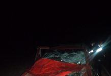 Ulapes: Pudo ser una tragedia, vehículo impactó contra un animal