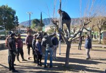 Malanzán: Se realizó Capacitación sobre poda de árboles