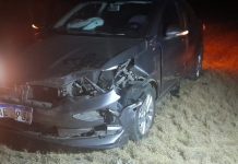 El Portezuelo: Sufrieron accidente por atropellar un chancho salvaje