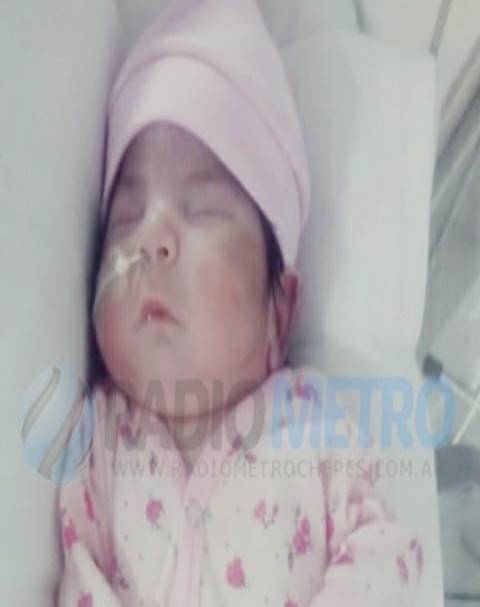 Imagen11