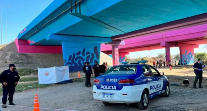 Imagen8