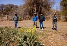 Malanzán: Jornada de trabajo en la localidad de Salana