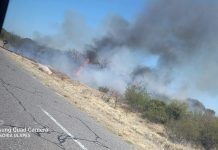 Ulapes: Personal municipal sofocó incendio forestal