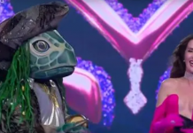 Quién es la máscara: estallaron los memes luego del bizarro debut