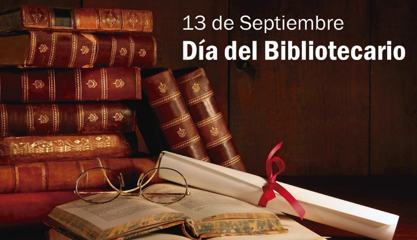 Imagen10
