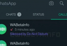 No molestar: cómo es la nueva función que está probando WhatsApp