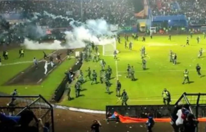 Imagen7