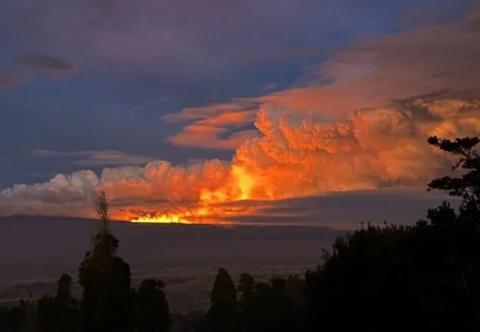 Imagen6