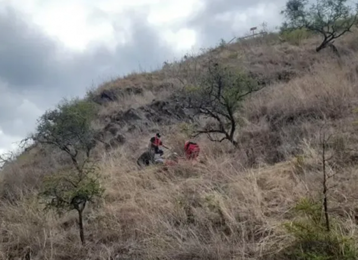 Imagen9