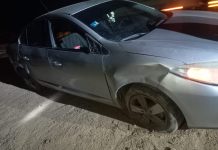 Chepes: Por presencia de animales en la ruta, se dio vuelta un auto