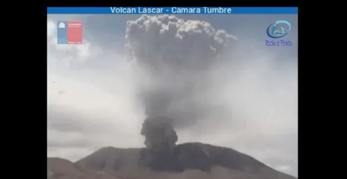 Imagen5
