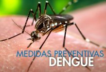 Capital: Falleció una mujer por dengue, no tenía comorbilidad