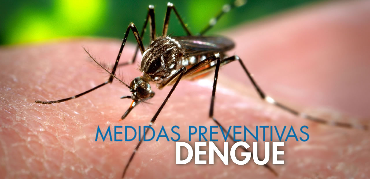 dengue-medidas-preventivas-manifestaciones-clinicas