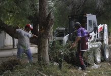 Chepes: Se realizan limpieza en calles y avenidas