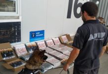 La Aduana incautó 483 vinilos de Vilma Palma e Vampiros valuados en $5 millones