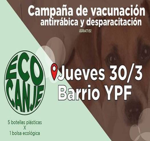 Imagen11