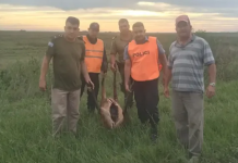 Tres demorados por cazar un monumento natural en Corrientes