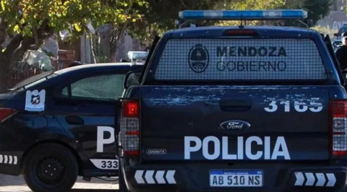 Imagen7