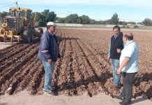 Chepes: Inició trabajo en la cancha de Rieles para colocarle césped