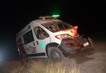 Chepes: Ambulancia chocó con una vaca en la ruta N° 29