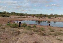 Chepes: Receptan animales y reparan infraestructura en Campo “Sol de Mayo”