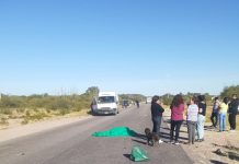 Ñoqueve: fallece sexagenario en siniestro vial