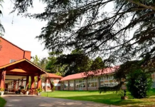 Escobar: acusan a un directivo de un colegio de exhibicionismo frente a chicos de 5 años