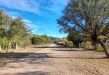 Chepes: Tareas de Limpieza, mantenimiento y desmalezamiento de calles en el interior