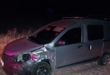 Chepes: Nuevamente los animales sueltos provocan accidente en la ruta