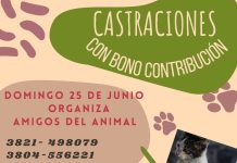 Chepes: Realizarán jornada de castración
