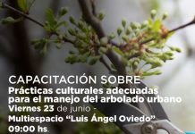 Chepes: Comenzó la capacitación de prácticas culturales adecuadas para el manejo del arbolado urbano