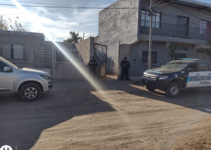 Imagen11