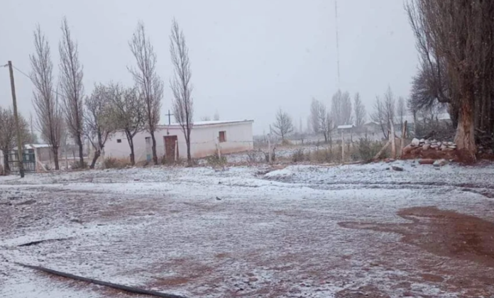 Imagen9