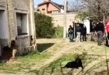 Conmoción en Córdoba: hallaron muerto a un chico de 14 años y detuvieron a un compañero de escuela