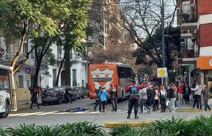 Imagen8