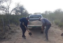 Chepes: Reparación y mantenimiento de caminos en el distrito El Totoral