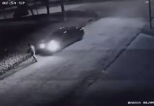 Imágenes sensibles: video muestra como asesinan a un hombre atropellándolo en Mar del Plata