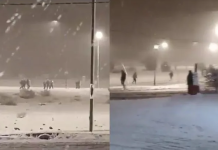 Bariloche: la Policía impidió que robaran un supermercado en medio de la nieve