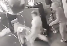 Brutal robo en La Plata: festejaba su cumpleaños en un boliche y casi lo matan