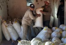 Chepes: Se entregó la carga de Jarilla seca al laboratorio Garré Guevara