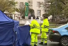 Un polista atropelló y mató a un peatón en la avenida 9 de Julio: se fugó pero luego se entregó