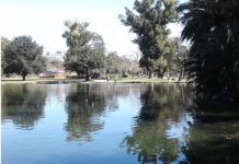 Encontraron el cadáver de un hombre en los lagos de Palermo