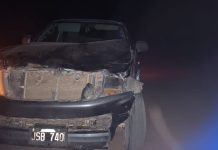 Chepes: Camioneta impactó contra una vaca en la ruta 29