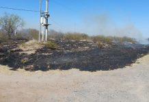 Chepes: Incendio de grandes proporciones en cercanías de la ciudad de Chepes