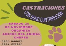 Chepes: Realizarán campaña de castración de mascotas
