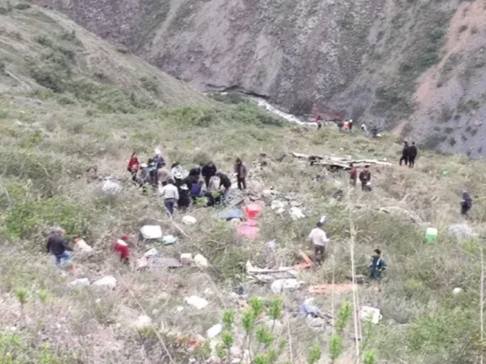 Imagen5