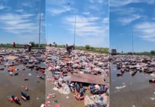 Particular imagen en Santa Fe: un camión de gaseosas volcó su carga sobre la ruta