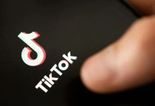 Lo más visto de 2023 en TikTok: canciones virales, perros brillantes y la mansión de una rana