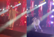 Famoso cantante brasileño se desplomó y murió en medio de un show